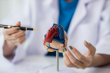 Heart Disease Dr. Ying provides advice on heart disease treatment. A cardiologist while giving a consultation shows an anatomical model of a human heart to an elderly patient talking about heart disea