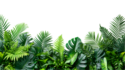 Tropics green plants gardening design with nature rock isolated on transparent background