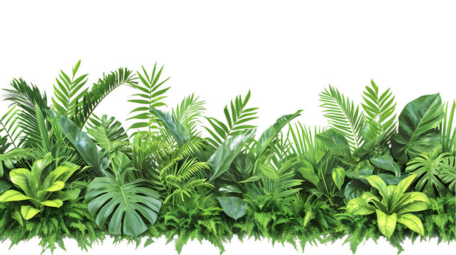 Tropics green plants gardening design with nature rock isolated on transparent background