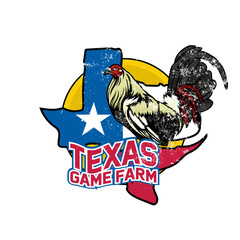 Texas Rooster Rumble, A Feisty Logo for Fierce Fighters