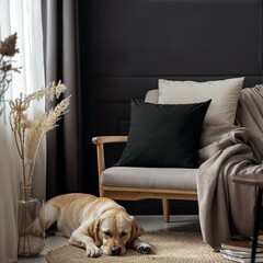 chair with a black pillow and wall, a sleeping dog in the background - obrazy, fototapety, plakaty