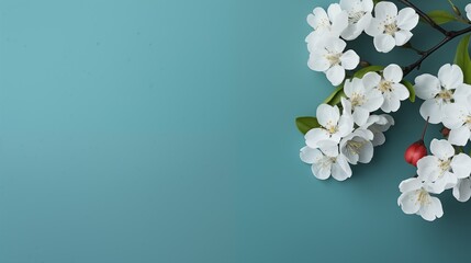 apple flowers on a blue background
