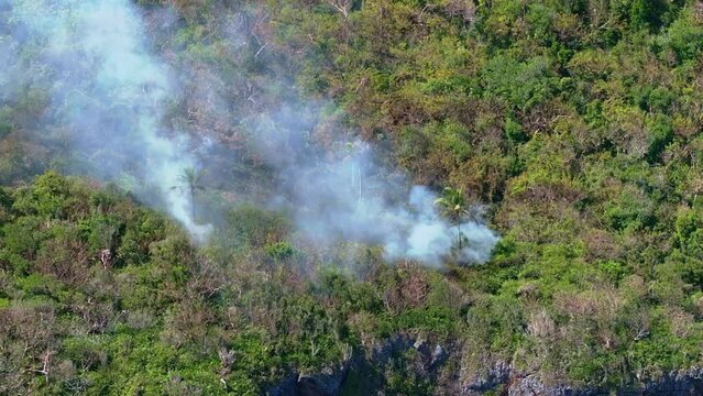 Forest Wildfire in Cabo Cabron National Park during sunny day .Smoke rising into sky. Aerial top down.