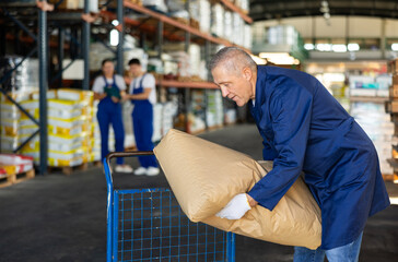 Fototapeta premium Elderly male loader in uniform with cargo cart loaded with bags in warehouse