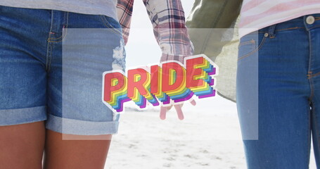 Image of rainbow pride over midsection of lesbian couple holding hands outdoors