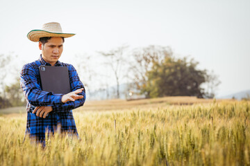 Farmer checks progress of wheat field Holding a tablet and using the internet smart farming ideas