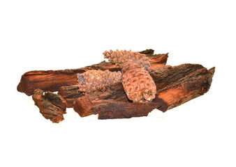 tree bark isolated on white background