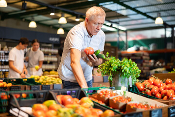 Health conscious elderly man following vegetarian lifestyle buying fresh vegetables in local grocery store, choosing ripe tomatoes and cucumbers for meal.. - obrazy, fototapety, plakaty