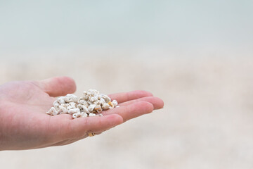 The white sand of Udo Island is like white popcorn. Red Algal Nodules Beach in Udo Island 