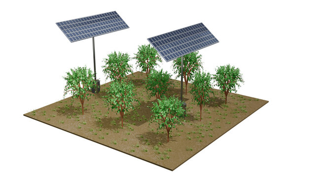 Agrivoltaics - solar tech with agriculture. 
Solar panels technology on agricultural land. Dual-use solar, agrophotovoltaics, agrisolar technologies. Solar panels , trees. 3d render illustration.