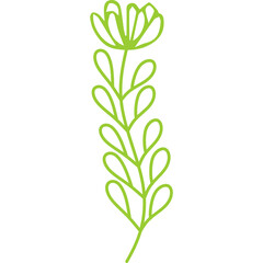 Line Decorative Flower