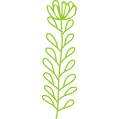 Line Decorative Flower