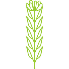 Line Decorative Flower