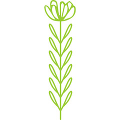 Fototapeta premium Line Decorative Flower