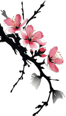 Cherry blossom flower branch, drawing of a Cherry blossom flower branch using the Japanese brushstroke technique.