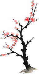 Fototapeta premium Cherry blossom flower branch, drawing of a Cherry blossom flower branch using the Japanese brushstroke technique.