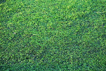 artificial green grass soccer field with sunlight, training football yard