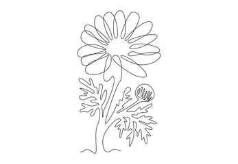 One continuous line drawing of Flower chamomile. Tree Flower Vector illustration