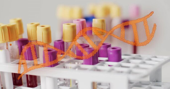 Animation of orange dna strand over blood sample test tubes in rack