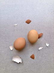 broken egg shells