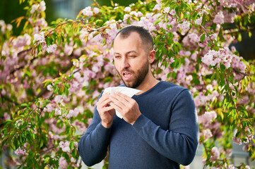 Naklejka na ściany i meble Man allergic suffering from seasonal allergy at spring in blossoming garden at springtime. Man sneezing and blowing nose using nasal handkerchief in front of blooming tree. Spring allergy concept.