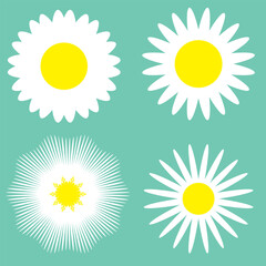Set of daisy flowers icons isolated on green background vector illustration