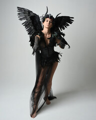 Full length portrait of female model wearing gothic horned headdress with halloween black dress and fantasy angel feather wings. Standing walking, holding pose bird prop. Isolated studio background