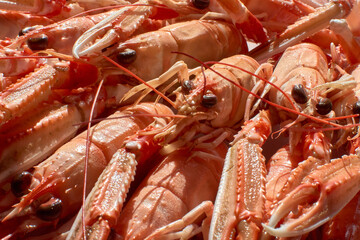 A plate of exquisite Marin crayfish, Pontevedra, Spain