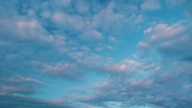Cirrocumulus with ray light effects. Morning sunset blue sky with wispy smoke cirrocumulus.
