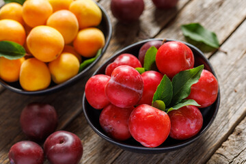 Colorful plums