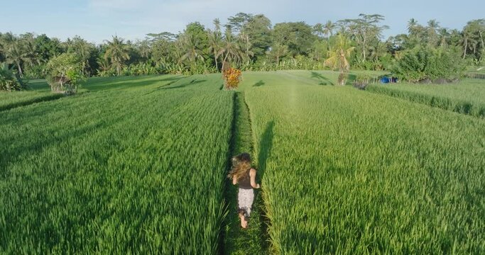Slow Motion Drone Shot Following barefoot woman Running through rice paddies in Ubud Bali Indonesia at Sunrise