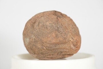 Sapodilla: A Close-Up of Nature's Rustic Elegance, This image features a close-up view of a ripe Sapodilla (Chikoo), its rough, brown texture beautifully contrasting against a pristine white backdrop.