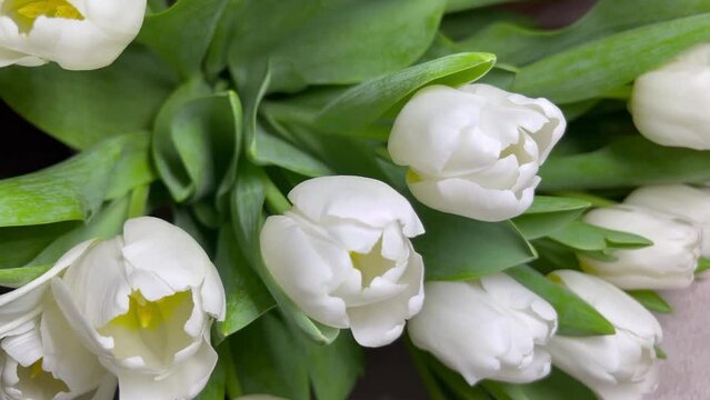 A bouquet of a white tulips	