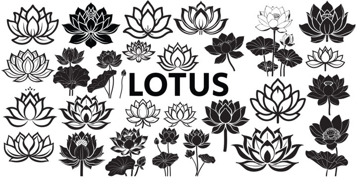 Lotus flower, vector set, drawing, tulip flower, drawing, tulip, set, stencil set, stencil, symbol, outline, monochrome, graphic, , floral, element, collection, decoration, blossom, lotus, vector set 