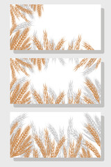Horizontal border of hand drawn spikelets of wheat, rye, barley with copy space. Set of Background for packaging, bakery shop, flour products, farm products. Engraving of Ears of wheat