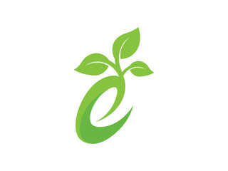 letter e with green leaf logo design vector