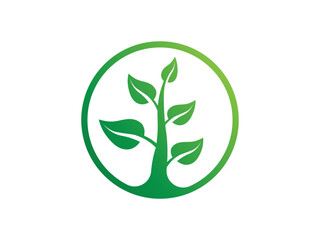 green leaf logo icon design vector, growing logo