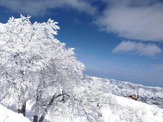 野沢温泉スキー場・雪山の景色