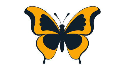 butterfly illustration vector