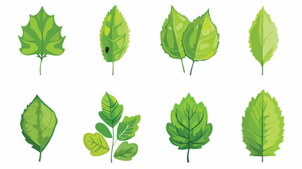 Leaf icon butterfly ecology green.