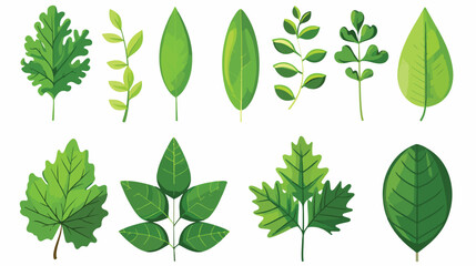 Leaf icon butterfly ecology green. - obrazy, fototapety, plakaty