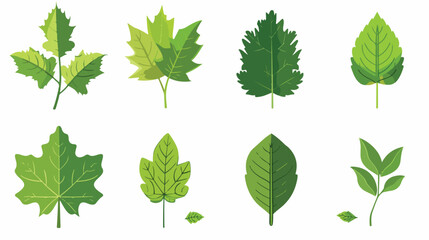 Leaf icon butterfly ecology green. - obrazy, fototapety, plakaty