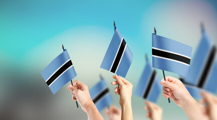A group of people are holding small flags of Botswana in their hands.