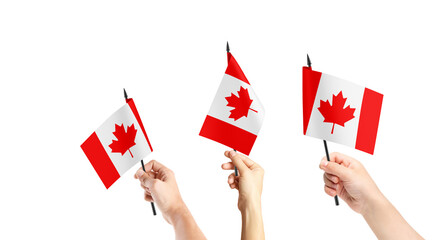 A group of people are holding small flags of Canada in their hands.