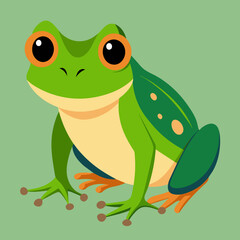 Frog Toad polliwog animal froggy frogling pet vector illustration draw cartoon pretty cute