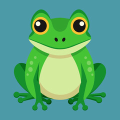 Fototapeta premium Frog Toad polliwog animal froggy frogling pet vector illustration draw cartoon pretty cute