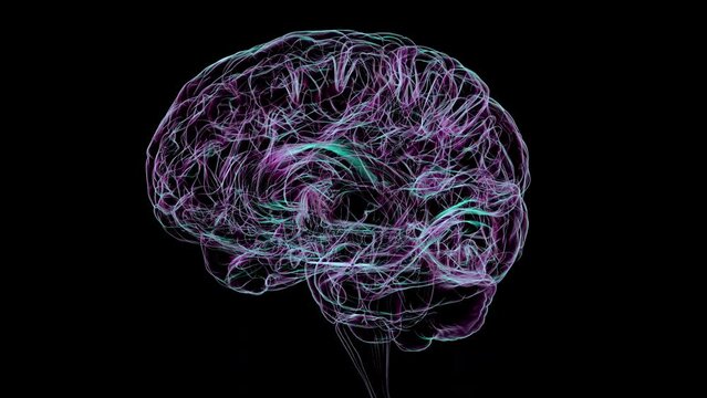 Human brain, animation
