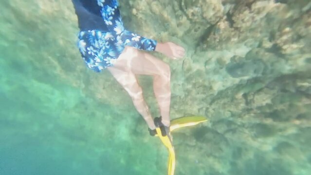 Snorkeler dives near vibrant coral formations in clear tropical waters on Chinese wreck dive site in Oman in Mirbat town of Dhofar region.