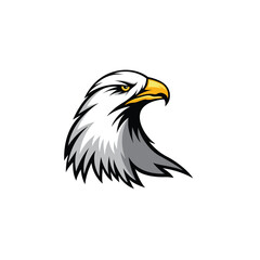 Fototapeta premium using the concept of an eagle's head 