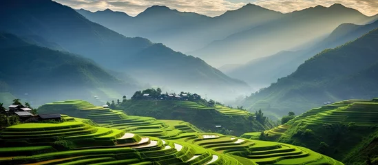 Poster Majestic Landscape of Lush Green Rice Terraces in Southeast Asia under a Clear Blue Sky © vxnaghiyev